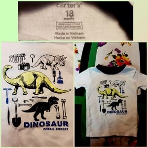 18 Month Dinosaur Top